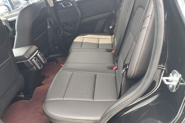 Used Haval DARGO 2022 1.5T DCT Two-Wheel Drive Border Collie Edition Left Rear Seat