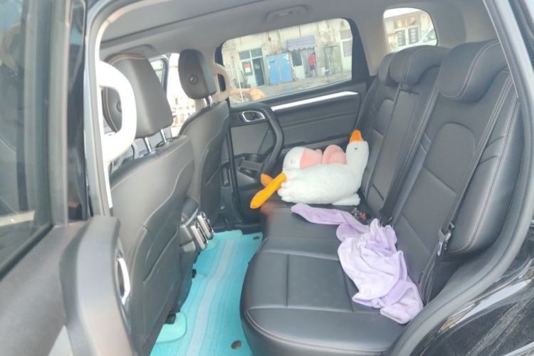 Used Haval DARGO 2022 1.5T DCT Two-Wheel Drive Mastiff Edition Left Rear Seat