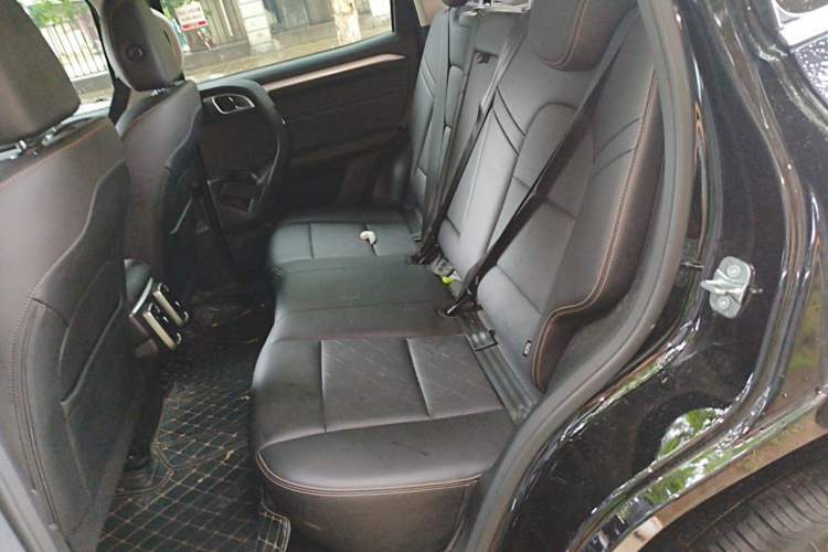 Used Haval DARGO 2022 1.5T DCT Two-Wheel Drive Border Collie Edition Left Rear Seat