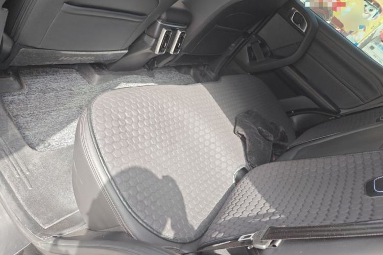 Used Haval DARGO 2022 1.5T DCT Two-Wheel Drive Labrador Edition Left Rear Seat