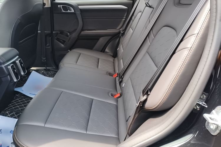 Used Haval DARGO 2022 1.5T DCT Two-Wheel Drive Border Collie Edition Left Rear Seat