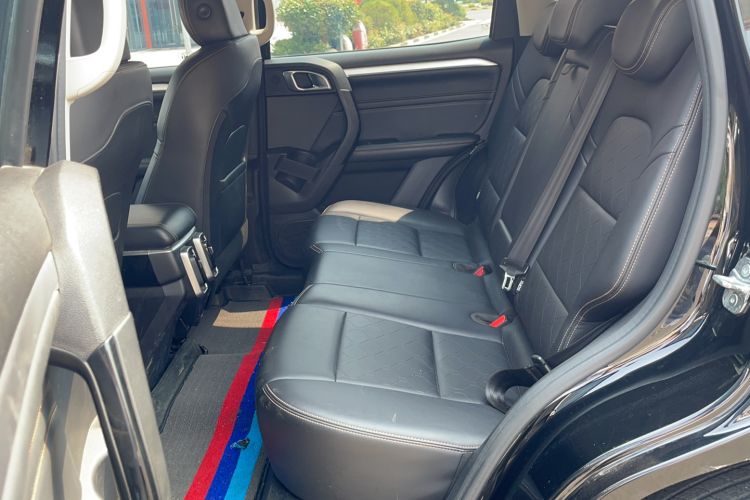 Used Haval DARGO 2022 1.5T DCT Two-Wheel Drive Border Collie Edition Left Rear Seat
