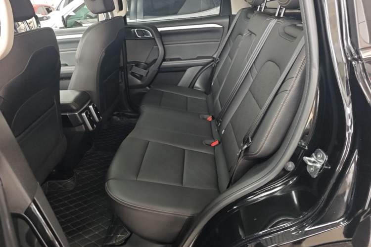 Used Haval DARGO 2022 1.5T DCT Two-Wheel Drive Border Collie Edition Left Rear Seat