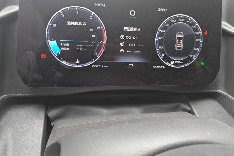Used Haval DARGO 2022 2.0T DCT 4x4 Chinese Rural Dog Edition Odometer Close Up