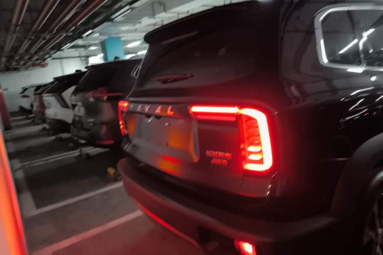 Used Haval DARGO 2022 1.5T DCT Two-Wheel Drive Border Collie Edition Rear