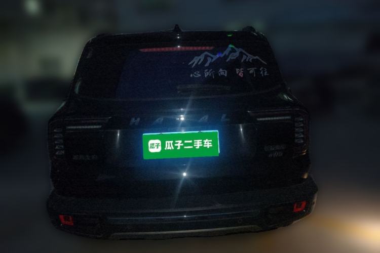 Used Haval DARGO 2022 2.0T DCT 4x4 Chinese Rural Dog Edition Rear