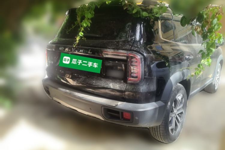 Used Haval DARGO 2022 1.5T DCT Two-Wheel Drive Border Collie Edition Rear Right 45 Deg