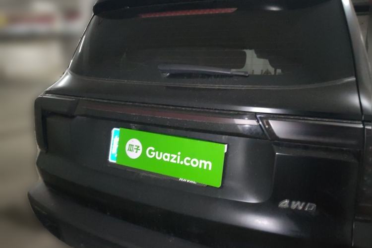 Used Haval DARGO 2022 1.5T DCT Two-Wheel Drive Border Collie Edition Rear