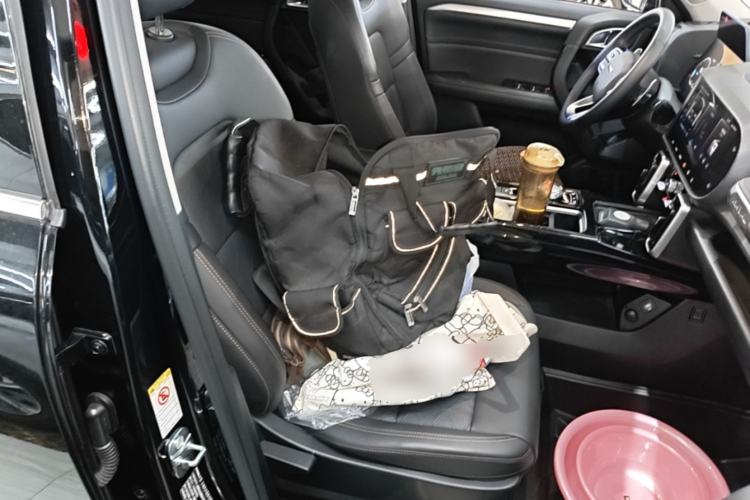 Used Haval DARGO 2022 1.5T DCT Two-Wheel Drive Border Collie Edition Right Front Seat