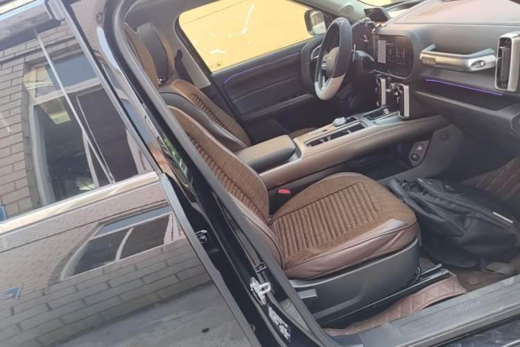 Used Haval DARGO 2022 1.5T DCT Two-Wheel Drive Border Collie Edition Right Front Seat