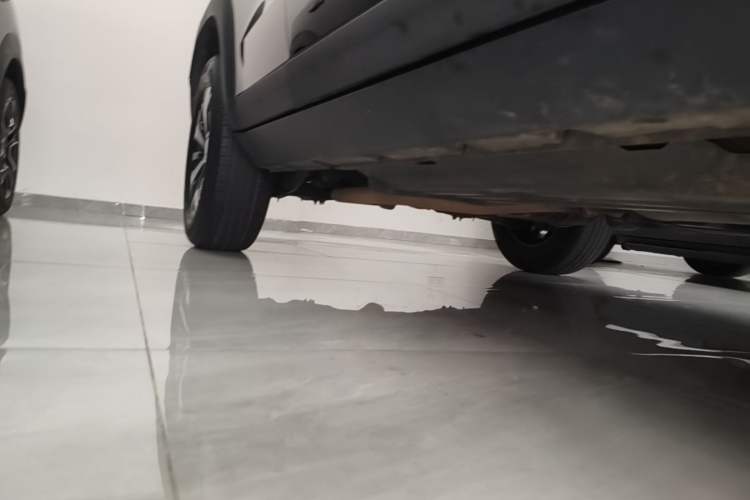 Used Haval DARGO 2022 1.5T DCT Two-Wheel Drive Labrador Edition Right Side Sill