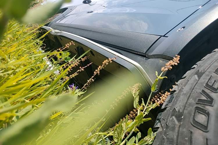 Used Haval DARGO 2022 2.0T DCT 4x4 Xiaotianquan Pursuit Edition Right Side Sill