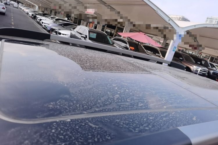 Used Haval DARGO 2022 1.5T DCT Two-Wheel Drive Border Collie Edition Roof