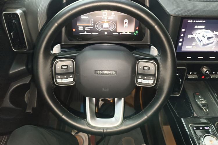 Used Haval DARGO 2022 2.0T DCT 4x4 Xiaotianquan Pursuit Edition Steering Wheel