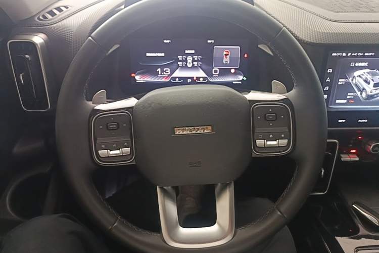 Used Haval DARGO 2022 2.0T DCT 4x4 Chinese Rural Dog Edition Steering Wheel