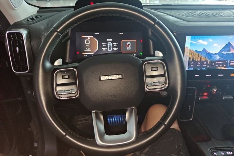 Used Haval DARGO 2022 1.5T DCT Two-Wheel Drive Border Collie Edition Steering Wheel