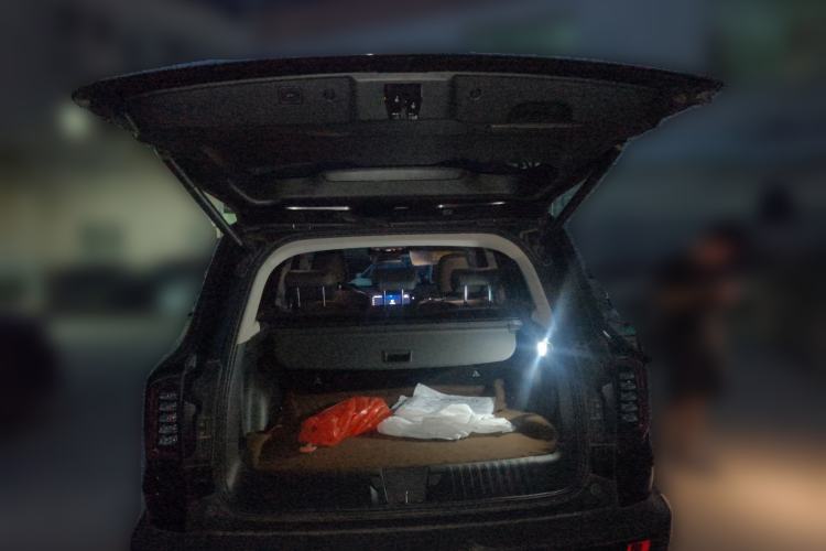 Used Haval DARGO 2022 2.0T DCT 4x4 Chinese Rural Dog Edition Trunk