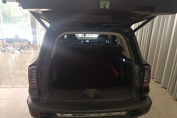 Used Haval DARGO 2022 2.0T DCT 4x4 Chinese Rural Dog Edition Trunk