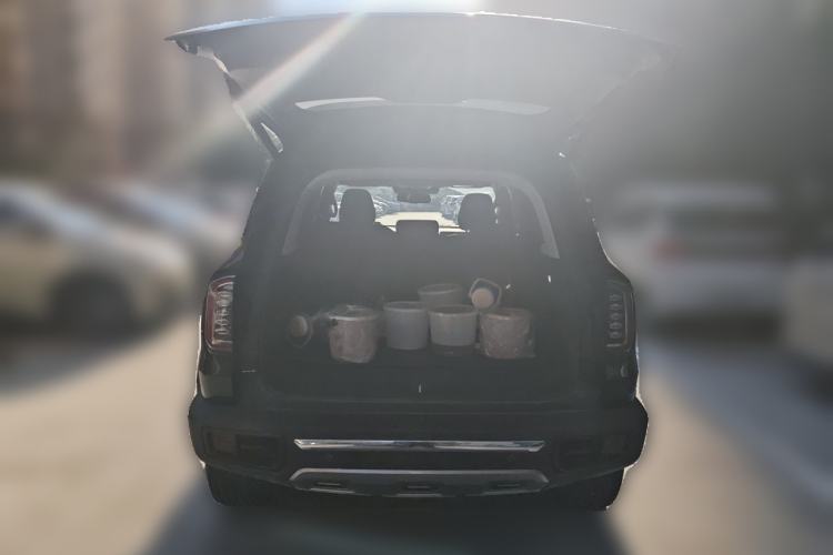 Used Haval DARGO 2022 2.0T DCT All-Wheel-Drive Xiaotianque Version Trunk
