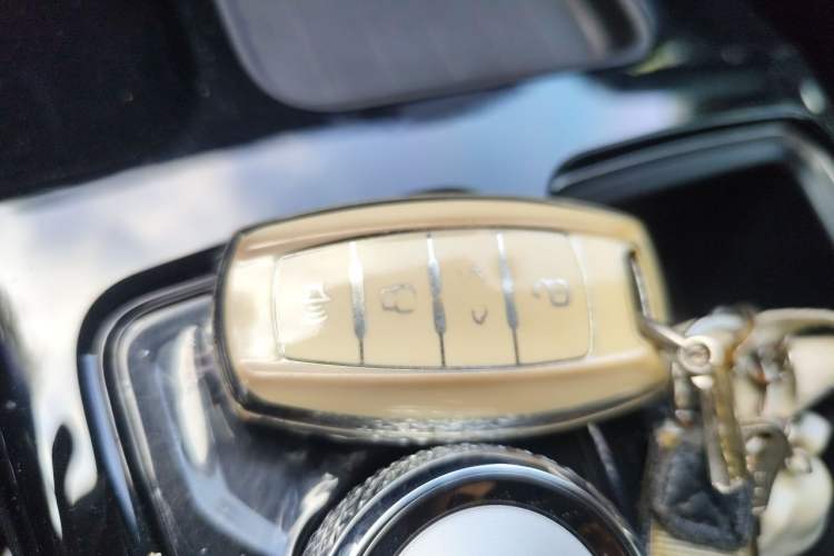 Used Haval DARGO 2022 1.5T DCT Two-Wheel Drive Border Collie Edition Vehicle Key