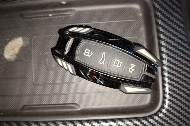 Used Haval DARGO 2022 1.5T DCT Two-Wheel Drive Border Collie Edition Vehicle Key
