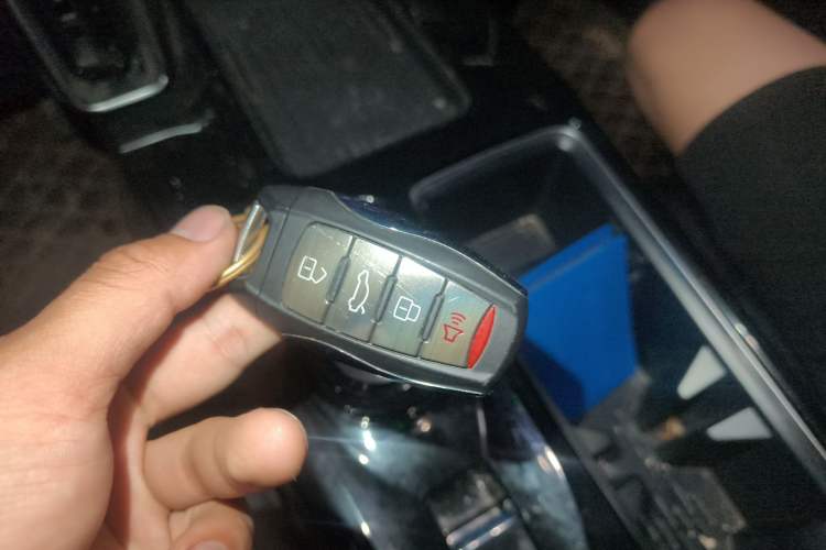 Used Haval DARGO 2022 2.0T DCT 4x4 Chinese Rural Dog Edition Vehicle Key
