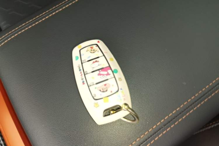 Used Haval DARGO 2022 1.5T DCT Two-Wheel Drive Mastiff Pursuit Edition Vehicle Key