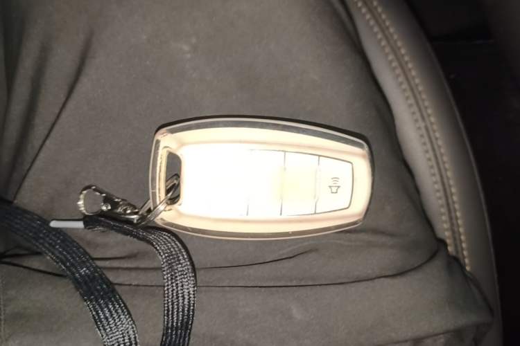 Used Haval DARGO 2022 1.5T DCT Two-Wheel Drive Labrador Edition Vehicle Key