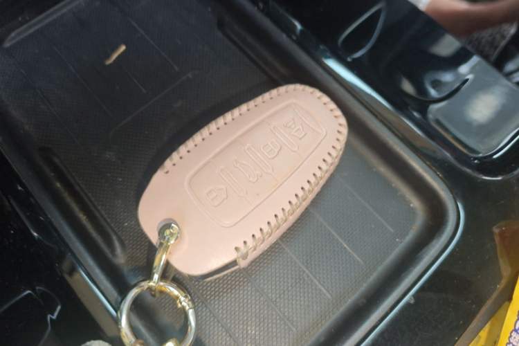 Used Haval DARGO 2022 1.5T DCT Two-Wheel Drive Border Collie Edition Vehicle Key