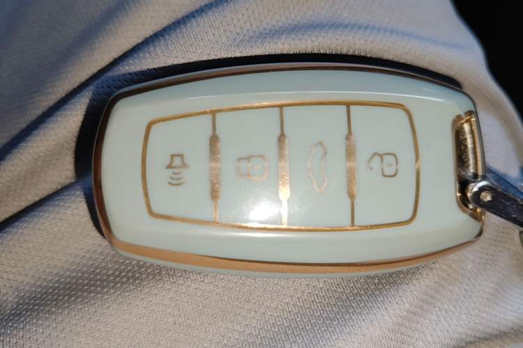 Used Haval DARGO 2022 1.5T DCT Two-Wheel Drive Border Collie Edition Vehicle Key