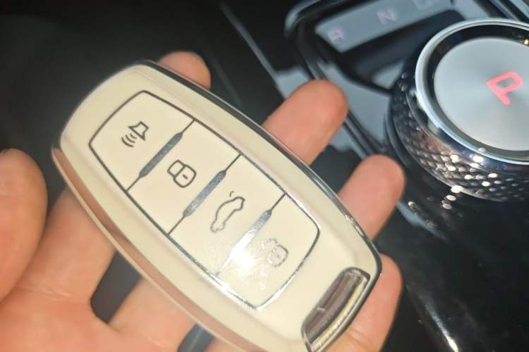 Used Haval DARGO 2022 1.5T DCT Two-Wheel Drive Border Collie Edition Vehicle Key