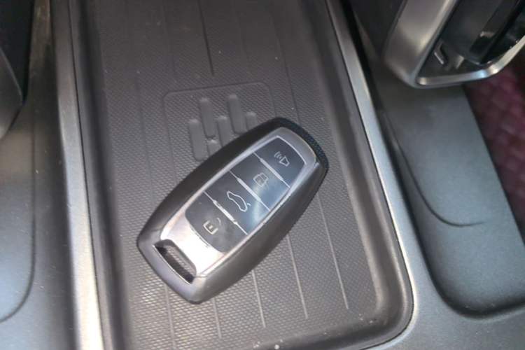 Used Haval DARGO 2022 1.5T DCT Two-Wheel Drive Labrador Edition Vehicle Key