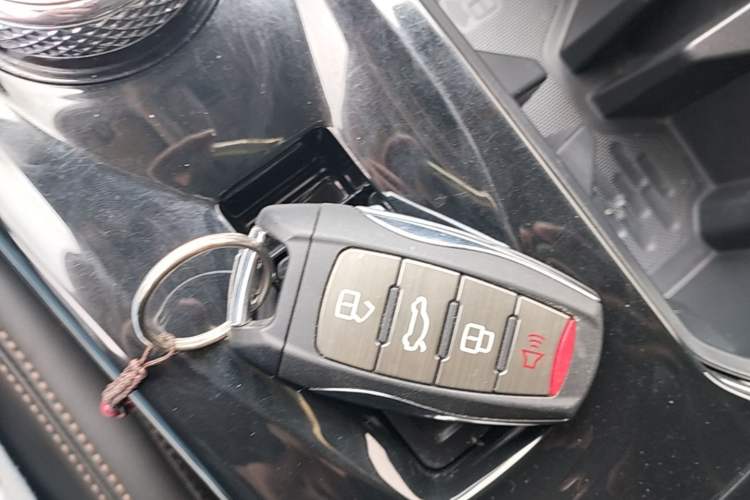 Used Haval DARGO 2022 1.5T DCT Two-Wheel Drive Border Collie Edition Vehicle Key