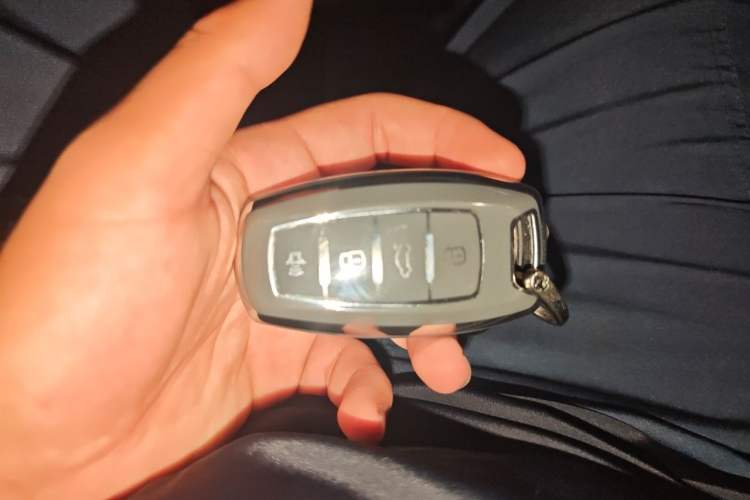 Used Haval DARGO 2022 1.5T DCT Two-Wheel Drive Border Collie Edition Vehicle Key
