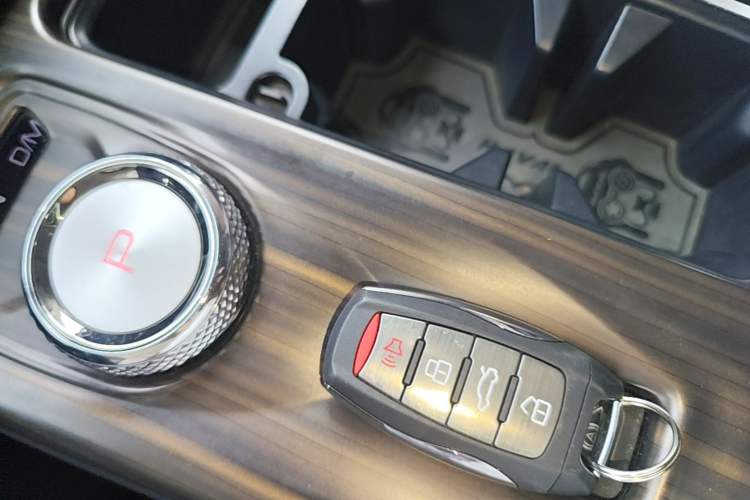 Used Haval DARGO 2022 1.5T DCT Two-Wheel Drive Border Collie Edition Vehicle Key