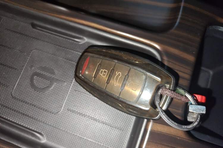 Used Haval DARGO 2022 1.5T DCT Two-Wheel Drive Border Collie Edition Vehicle Key