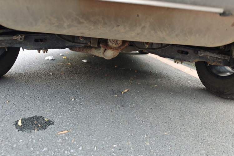 Used Haval DARGO 2022 2.0T DCT 4x4 Chinese Rural Dog Edition Chassis Rear