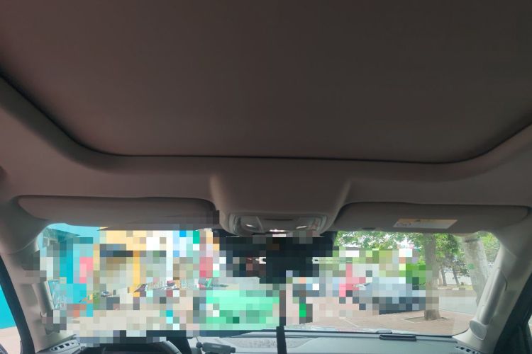 Used Haval DARGO 2022 2.0T DCT All-Wheel-Drive Xiaotianque Version Headliner