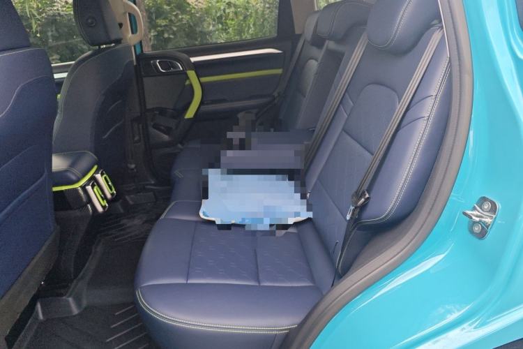 Used Haval DARGO 2022 2.0T DCT 4x4 Chinese Rural Dog Edition Left Rear Seat