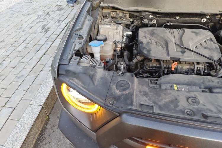 Used Haval DARGO 2022 2.0T DCT 4x4 Chinese Rural Dog Hunting Edition Engine Bay Right
