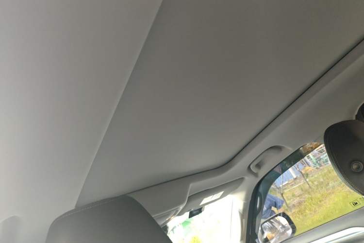 Used Haval DARGO 2022 2.0T DCT 4x4 Chinese Rural Dog Hunting Edition Headliner