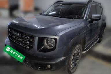 Used Haval DARGO 2022 2.0T DCT 4x4 Chinese Rural Dog Edition