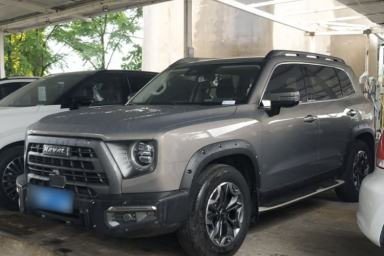 Used Haval DARGO 2022 2.0T DCT 4x4 Chinese Rural Dog Hunting Edition