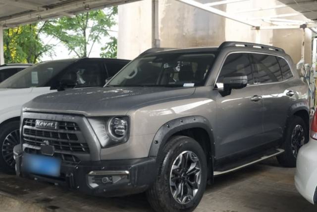 Used Haval DARGO 2022 2.0T DCT 4x4 Chinese Rural Dog Hunting Edition