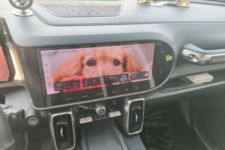 Used Haval DARGO 2022 1.5T DCT Two-Wheel Drive Border Collie Edition Audio And AC Panel