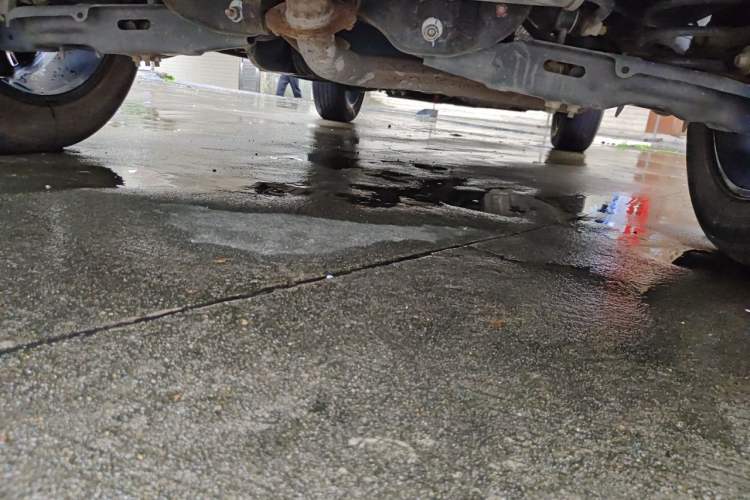 Used Haval DARGO 2022 1.5T DCT Two-Wheel Drive Border Collie Edition Chassis Rear