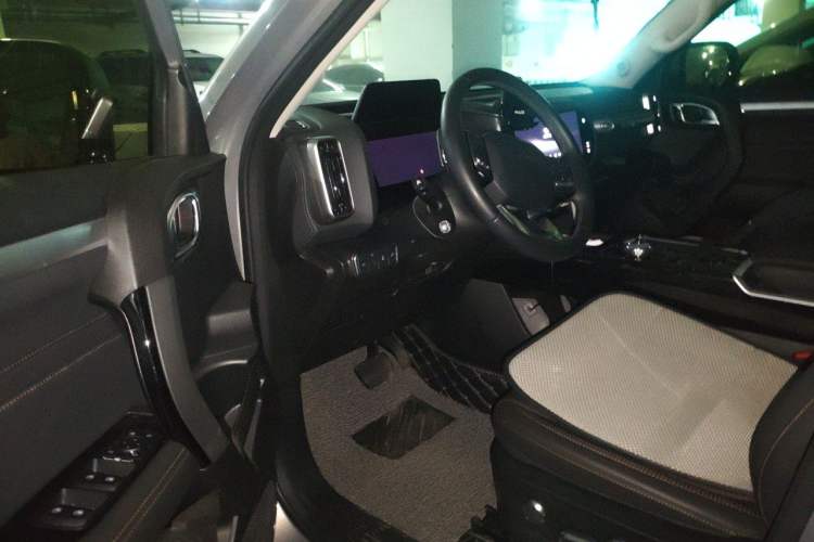 Used Haval DARGO 2022 2.0T DCT 4x4 Chinese Rural Dog Hunting Edition Driver Seat