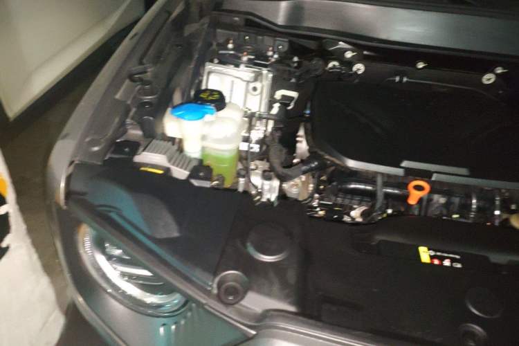 Used Haval DARGO 2022 2.0T DCT 4x4 Chinese Rural Dog Hunting Edition Engine Bay Right