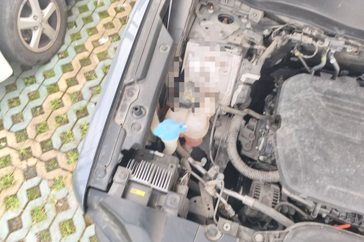 Used Haval DARGO 2022 1.5T DCT Two-Wheel Drive Border Collie Edition Engine Bay Right