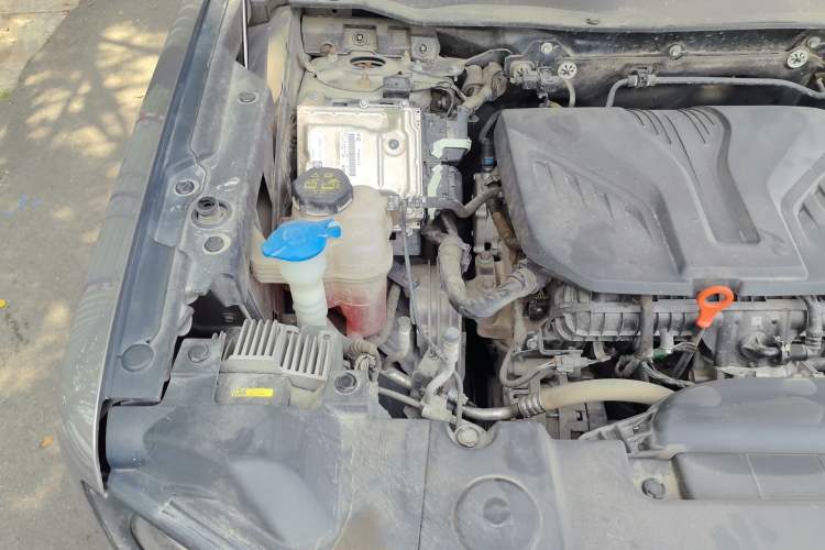 Used Haval DARGO 2022 2.0T DCT 4x4 Chinese Rural Dog Hunting Edition Engine Bay Right